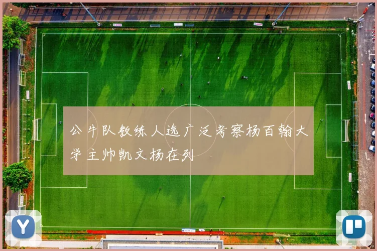 公牛队教练人选广泛考察杨百翰大学主帅凯文杨在列